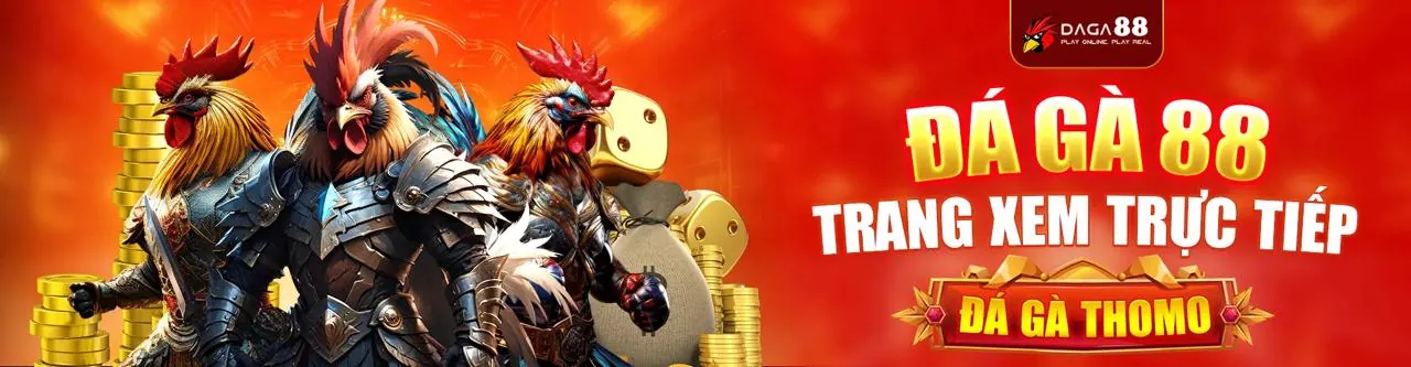 Sân đấu đá gà trực tuyến sôi động tại df999top đăng nhập